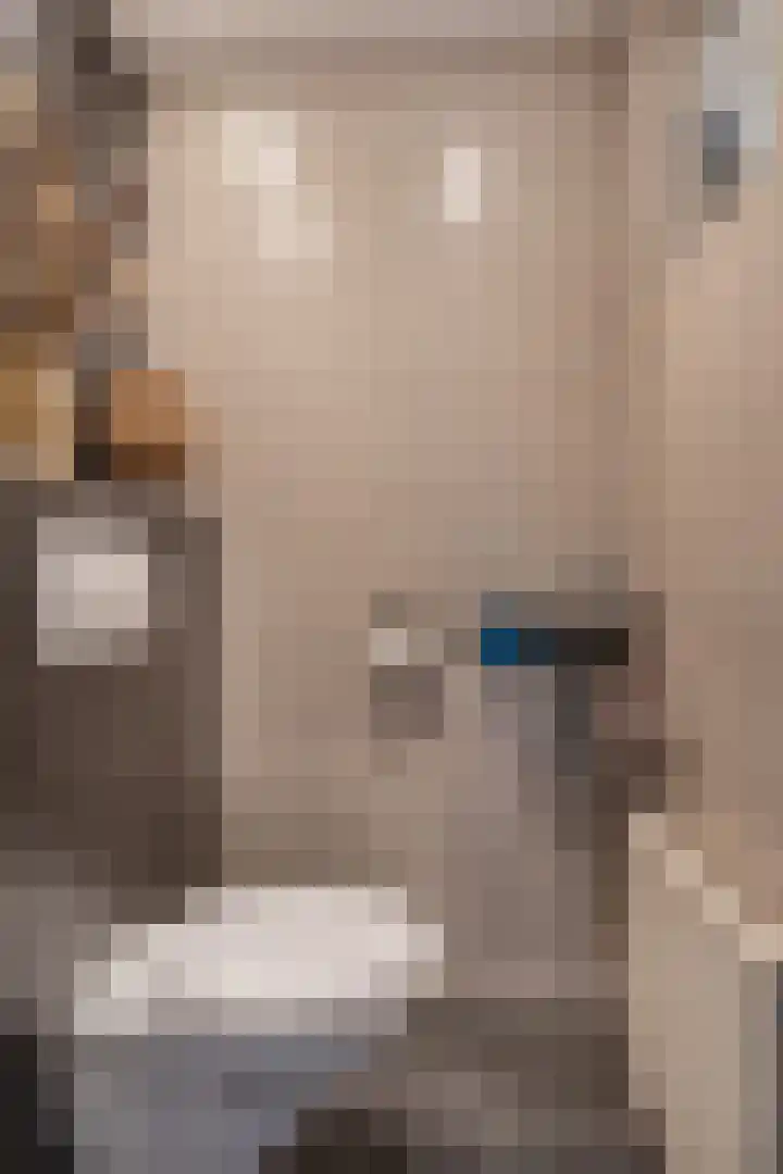Staakakker 30 Den Dungen thumbnail 11