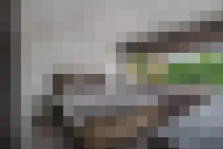 Staakakker 30 Den Dungen thumbnail 12