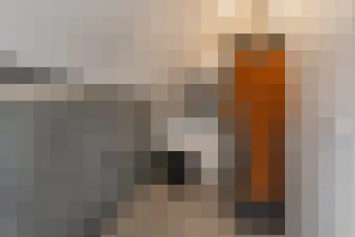 Staakakker 30 Den Dungen thumbnail 19