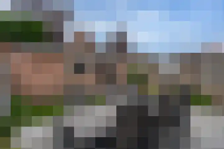 Staakakker 30 Den Dungen thumbnail 21