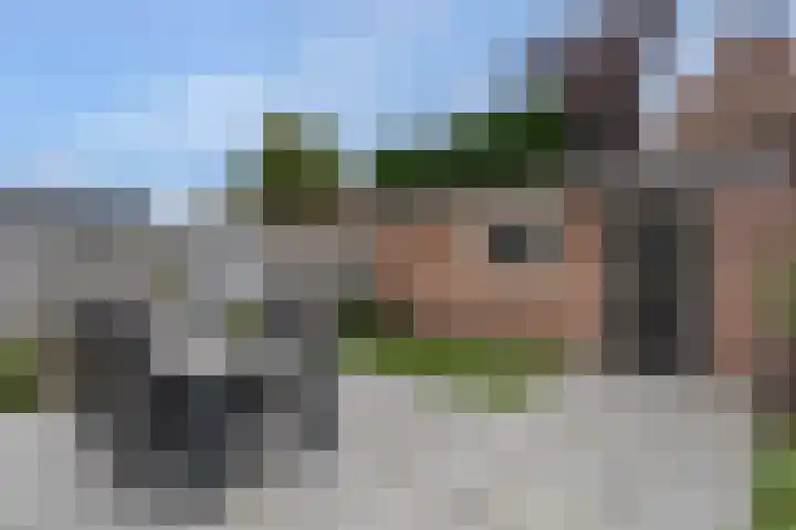 Staakakker 30 Den Dungen thumbnail 22