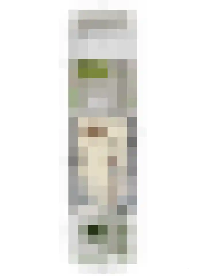 Staakakker 30 Den Dungen thumbnail 28