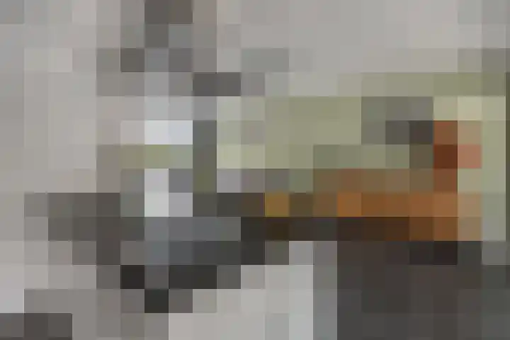 Staakakker 30 Den Dungen thumbnail 7