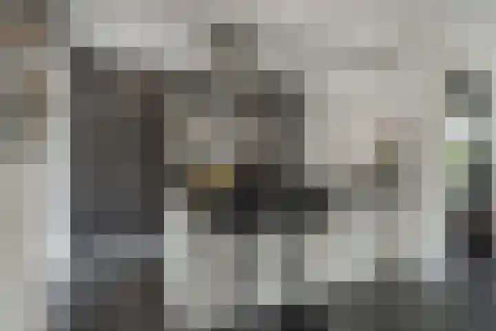 Staakakker 30 Den Dungen thumbnail 8