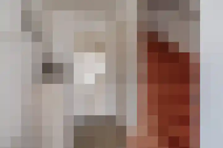 Staakakker 33 Den Dungen thumbnail 11
