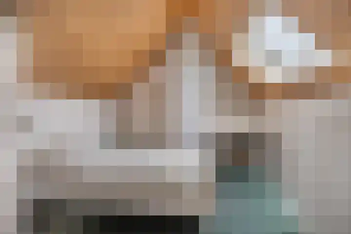 Staakakker 33 Den Dungen thumbnail 20