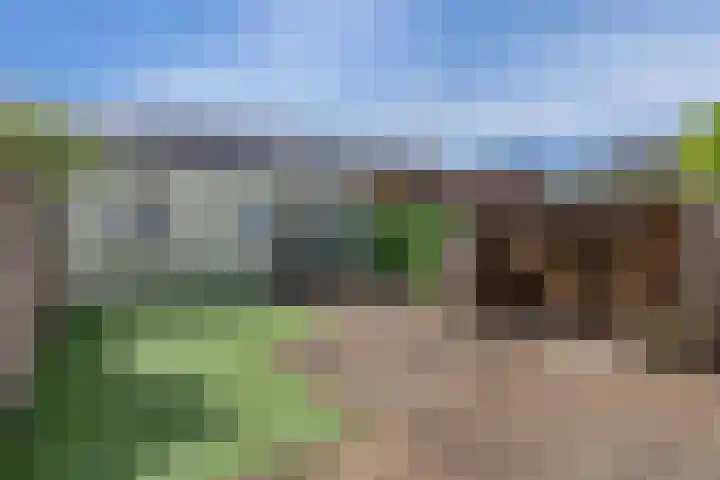 Staakakker 33 Den Dungen thumbnail 22