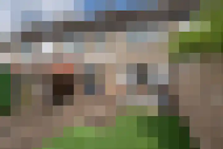 Staakakker 33 Den Dungen thumbnail 23