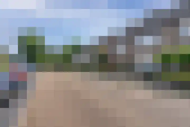 Staakakker 33 Den Dungen thumbnail 25