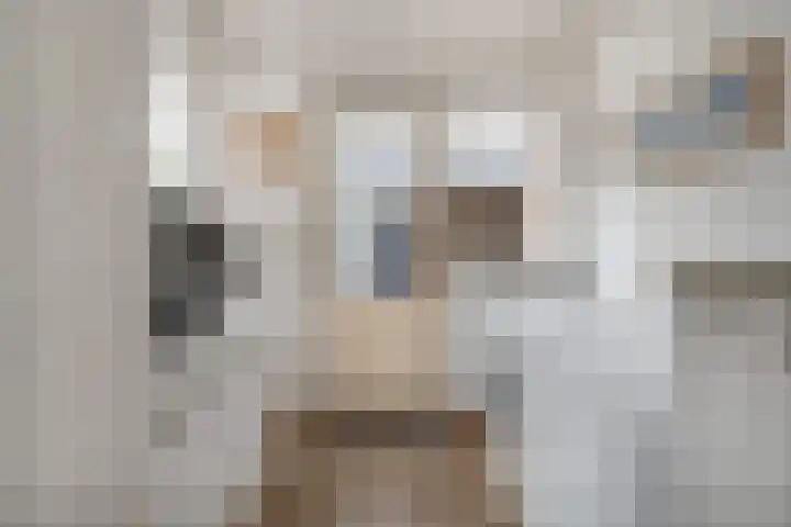 Staakakker 33 Den Dungen thumbnail 8