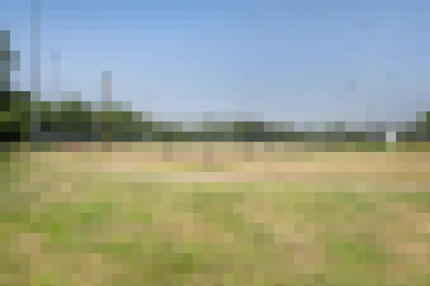 Staakberg 6 Bergen op Zoom thumbnail 45