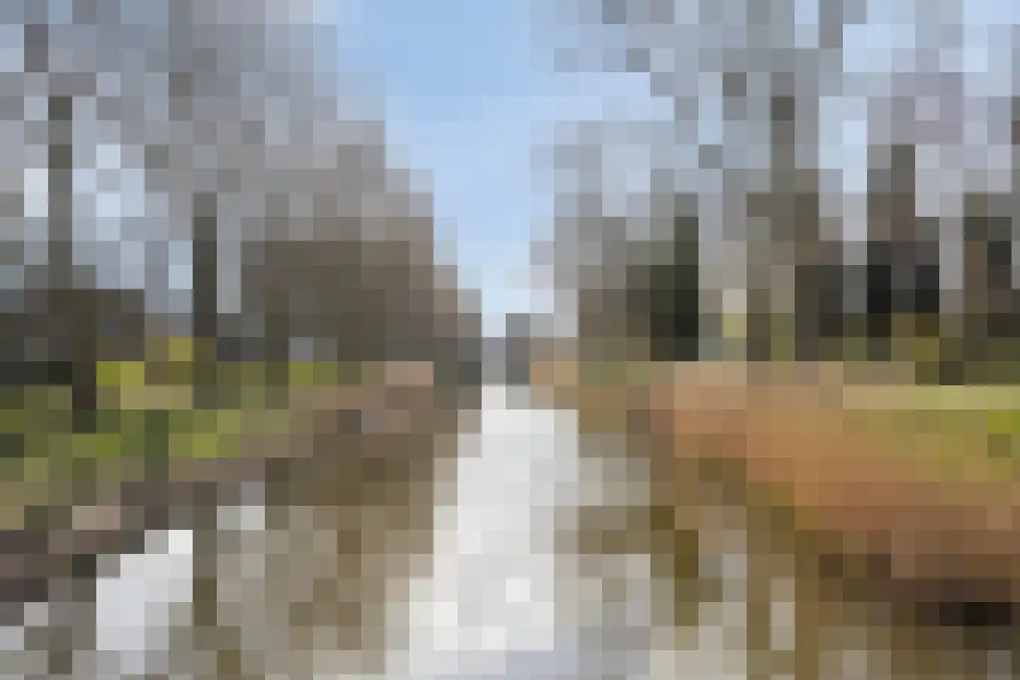 Staakmolenstraat 119 Almere thumbnail 39