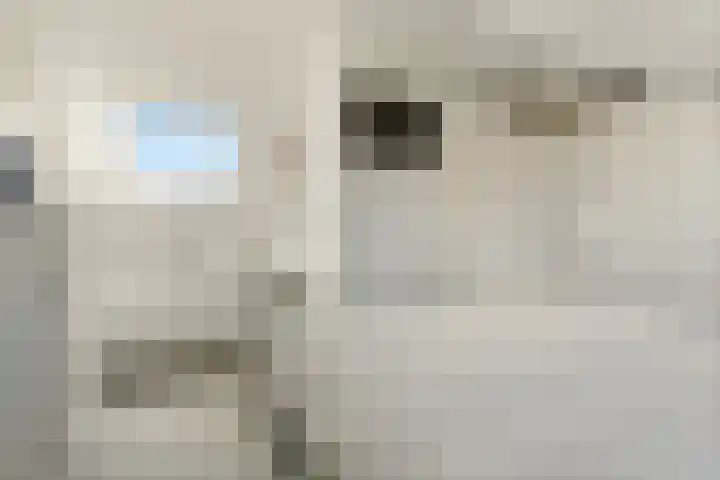 Staakmolenstraat 22 Almere thumbnail 30