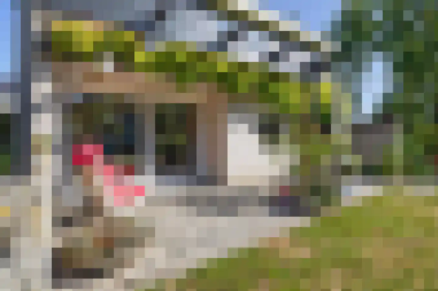 Staakweg 10 Dirksland thumbnail 24