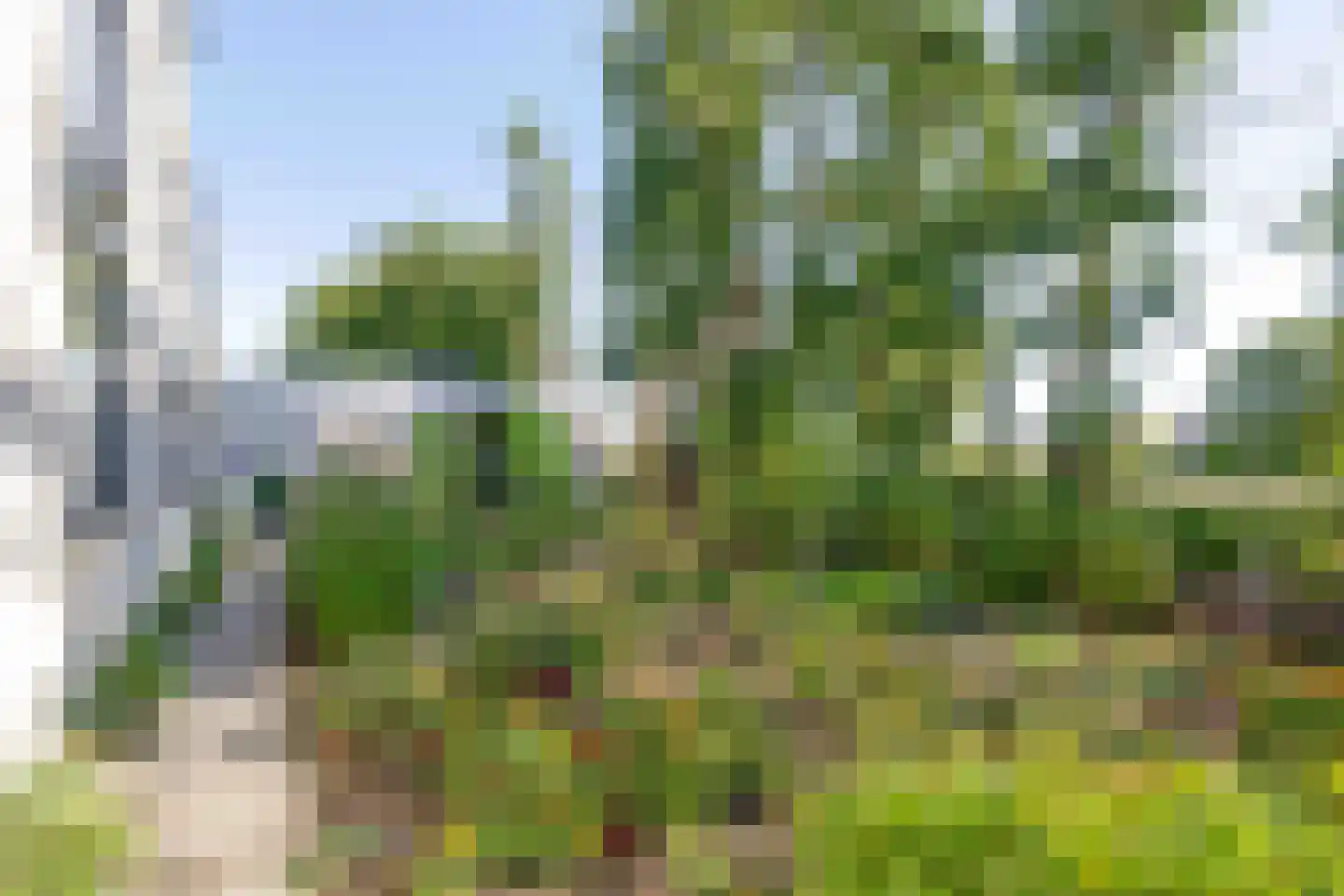Staakweg 10 Dirksland thumbnail 27