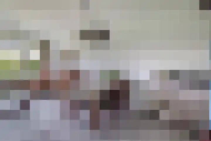 Staakweg 139 Dirksland thumbnail 14