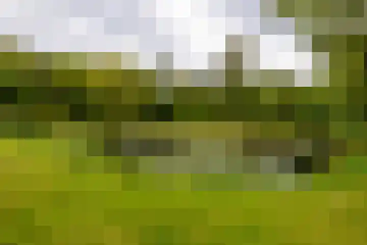 Staakweg 139 Dirksland thumbnail 31