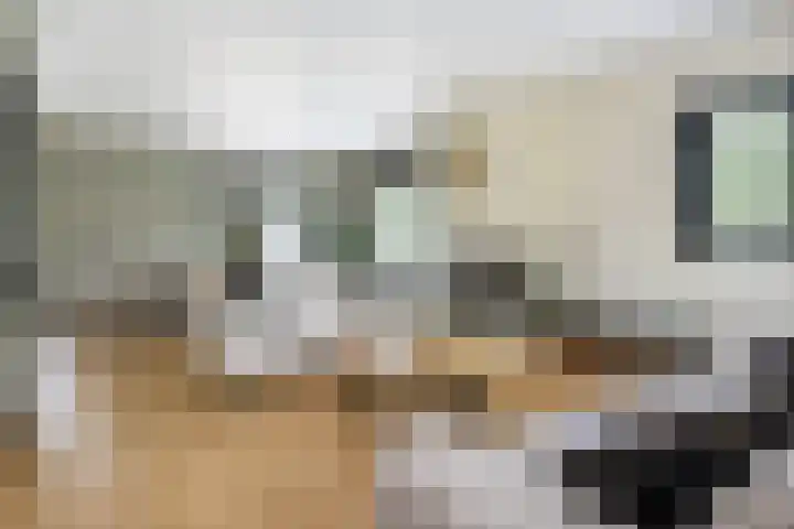 Staakweg 14 Dirksland thumbnail 10
