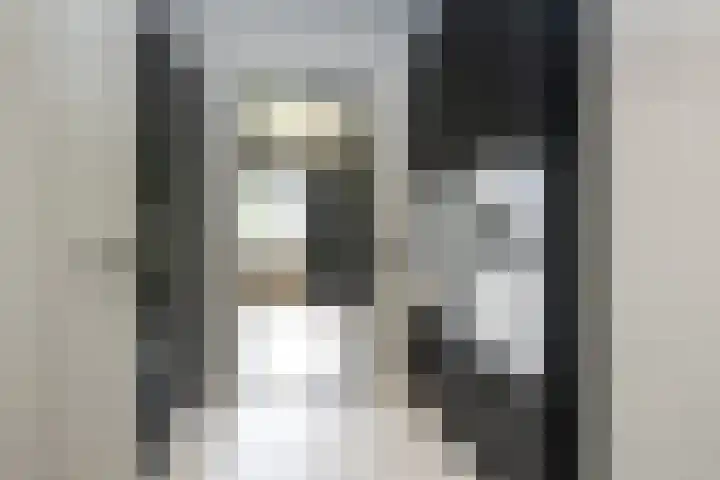 Staakweg 14 Dirksland thumbnail 17