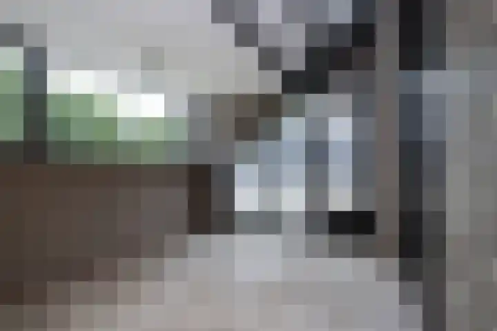 Staakweg 14 Dirksland thumbnail 29