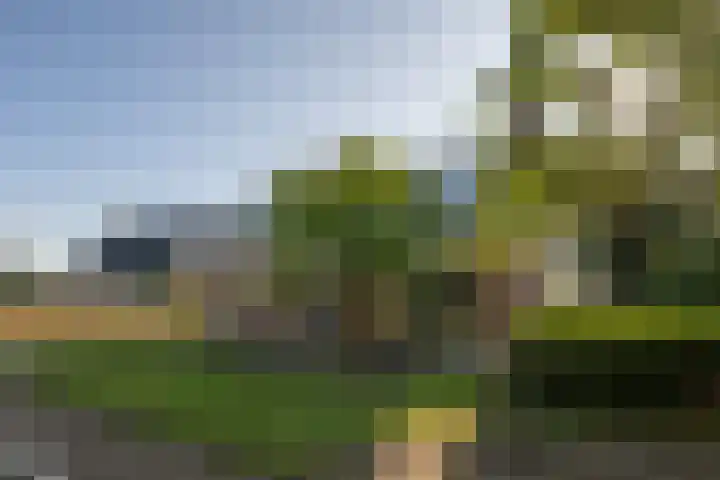 Staakweg 14 Dirksland thumbnail 34