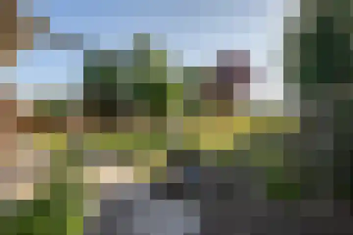Staakweg 14 Dirksland thumbnail 35