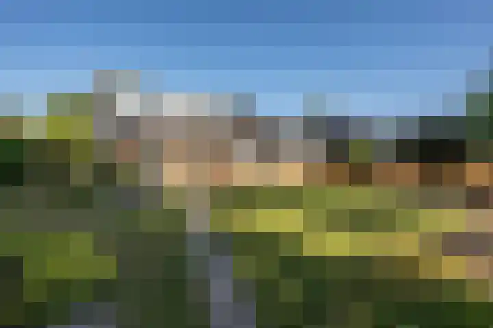 Staakweg 14 Dirksland thumbnail 37