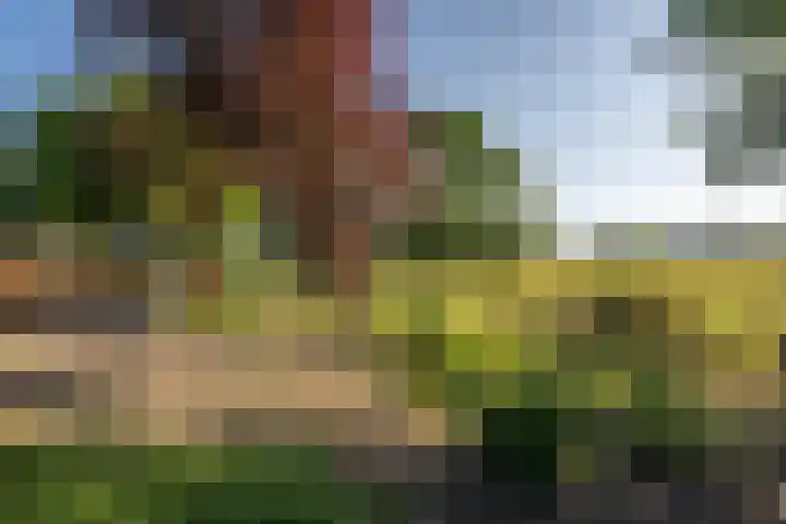 Staakweg 14 Dirksland thumbnail 38