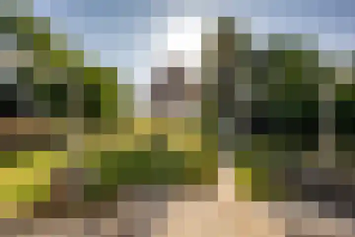 Staakweg 14 Dirksland thumbnail 39