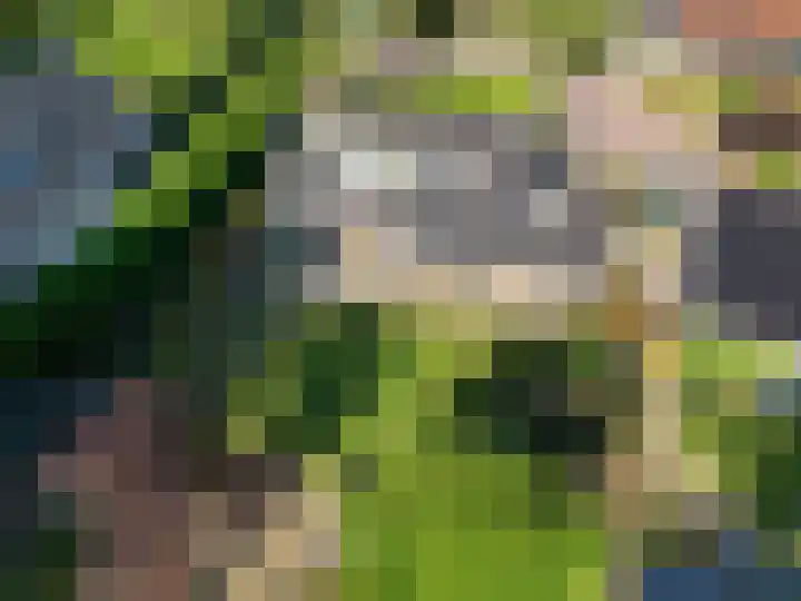 Staakweg 14 Dirksland thumbnail 4