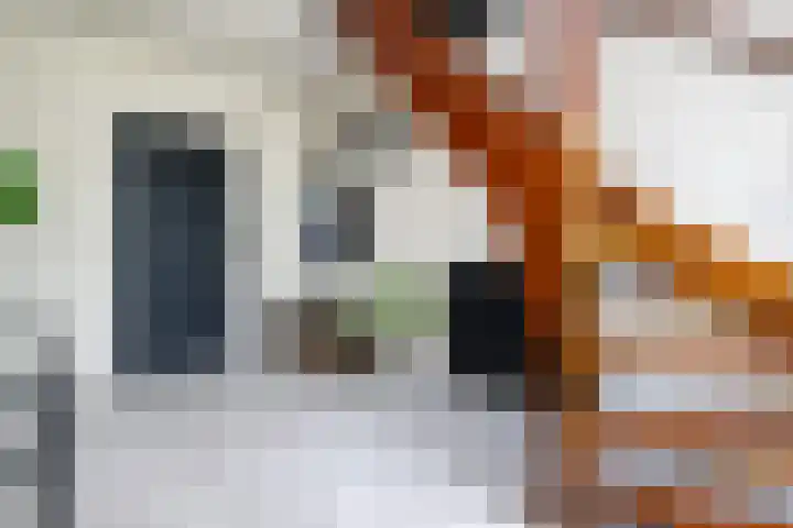 Staakweg 14 Dirksland thumbnail 7