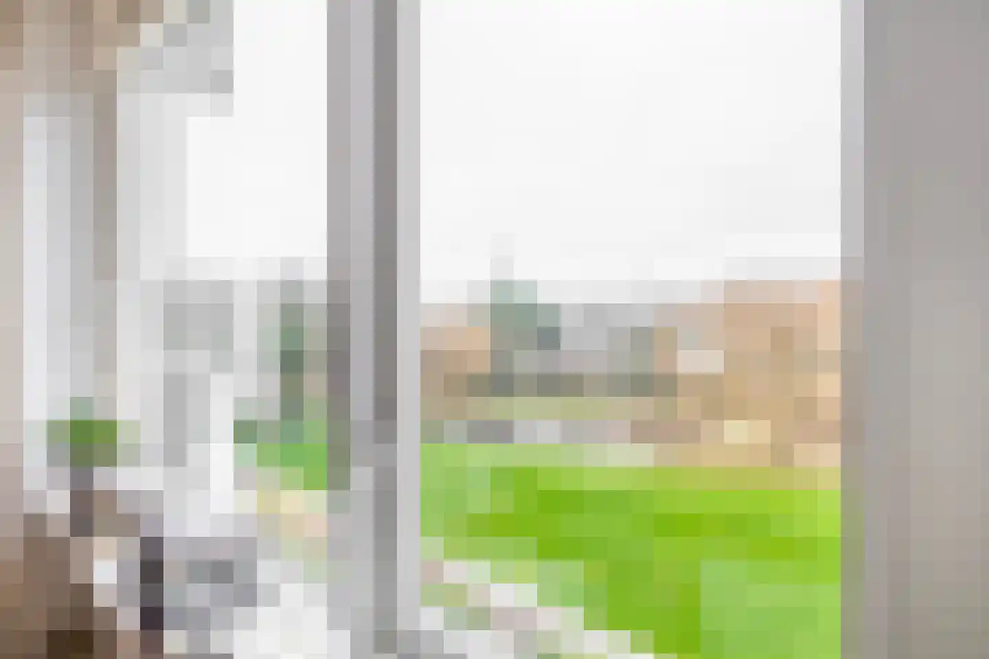 Staakweg 169 Dirksland thumbnail 12