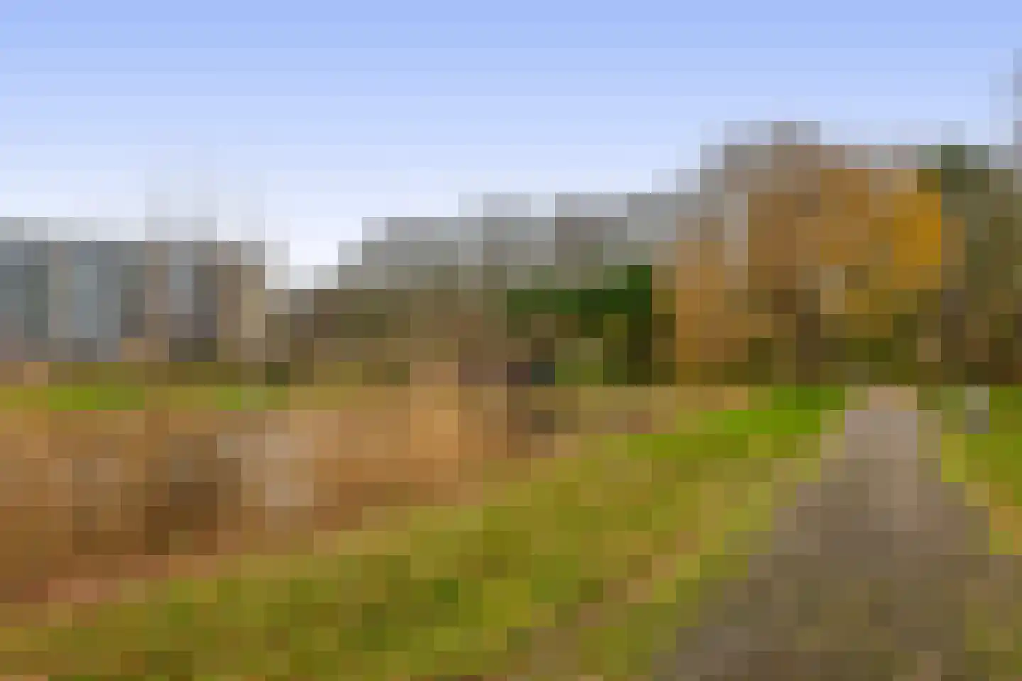Staakweg 169 Dirksland thumbnail 25