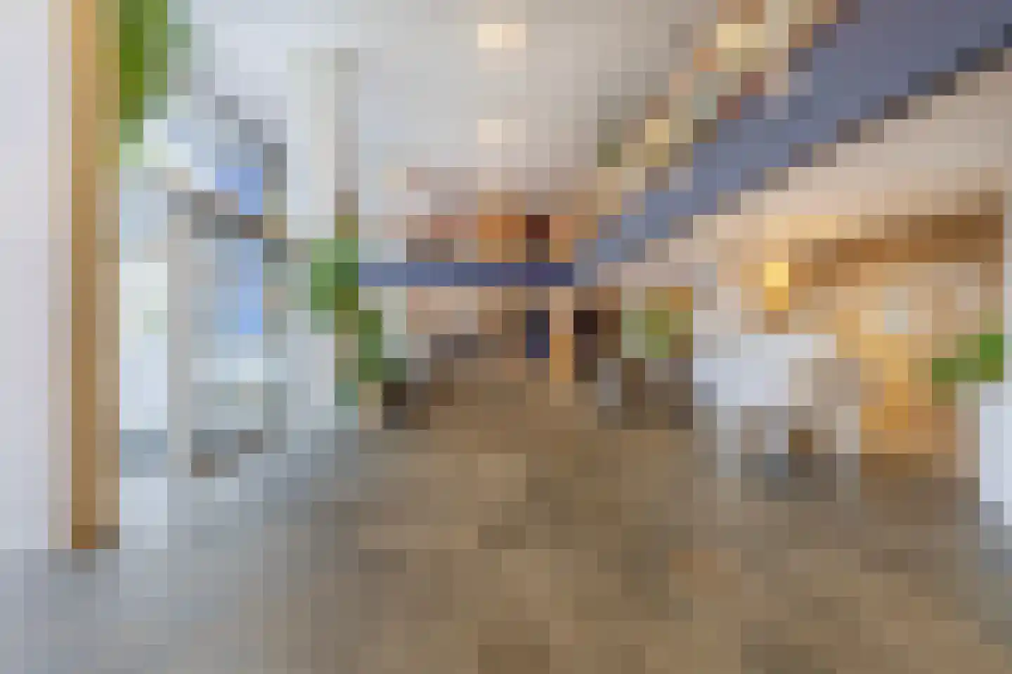 Staakweg 169 Dirksland thumbnail 7