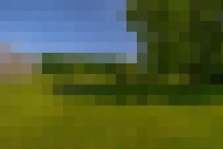 Staakweg 19 Dirksland thumbnail 5