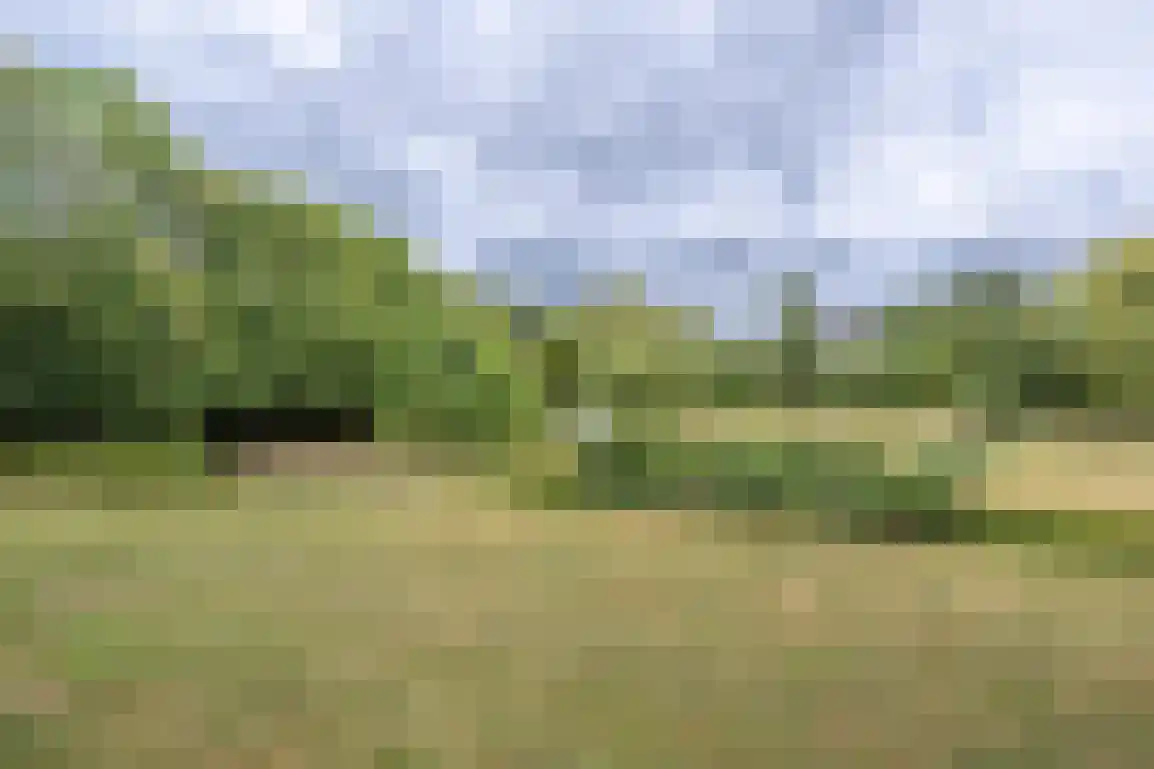 Staakweg 47 Dirksland thumbnail 24