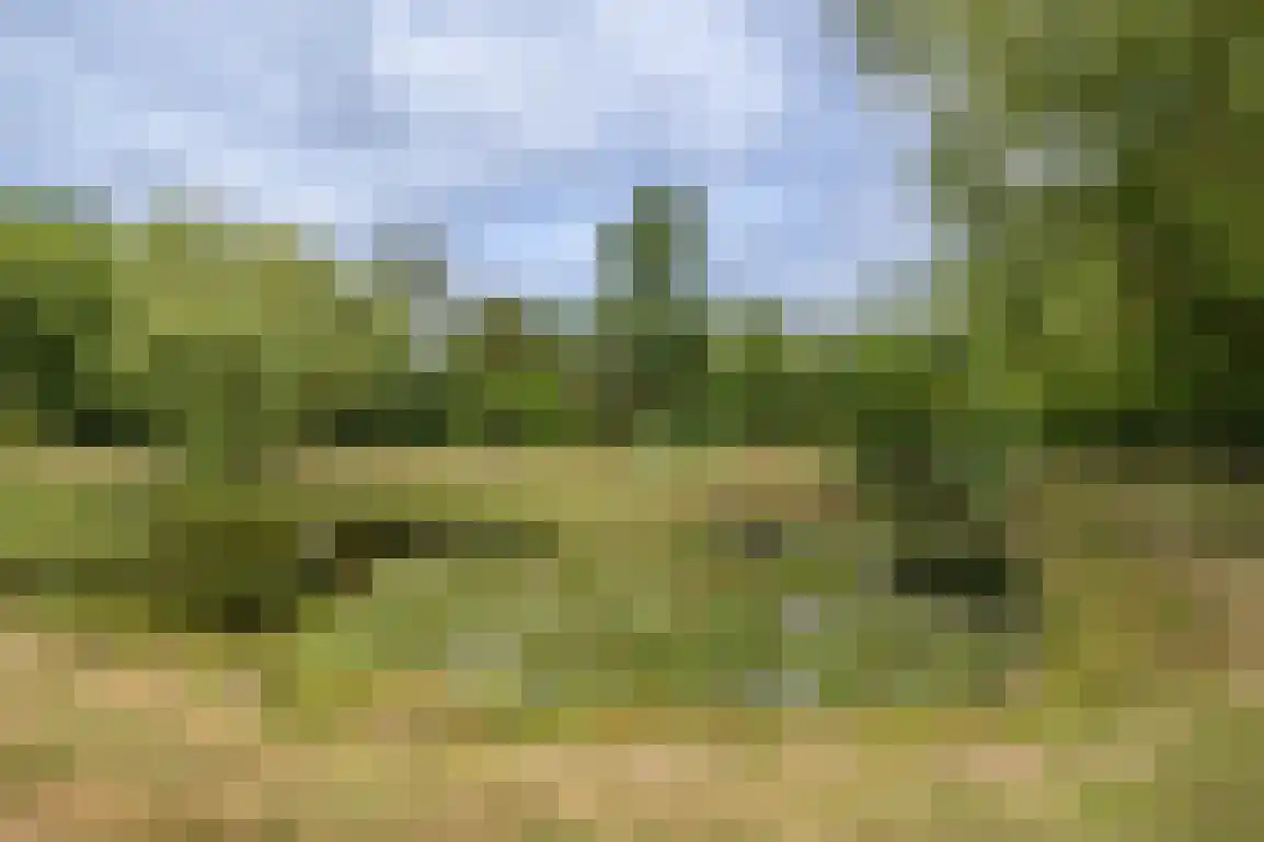 Staakweg 47 Dirksland thumbnail 4
