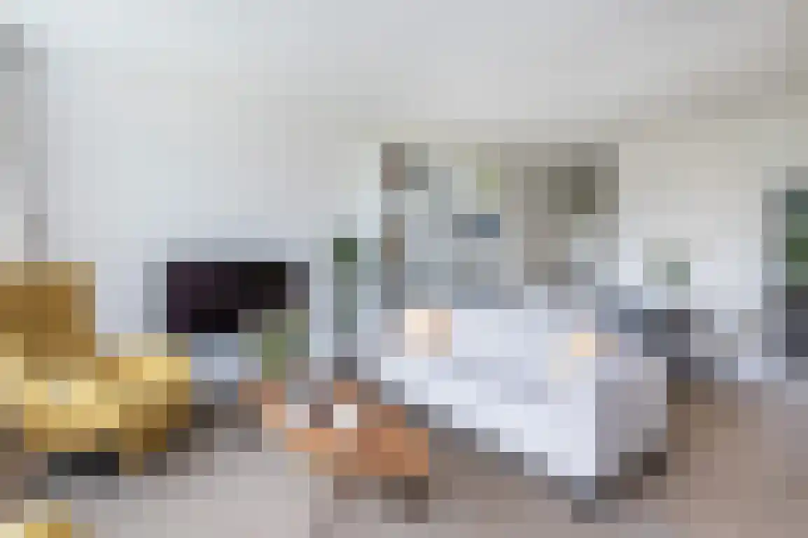 Staakweg 47 Dirksland thumbnail 8