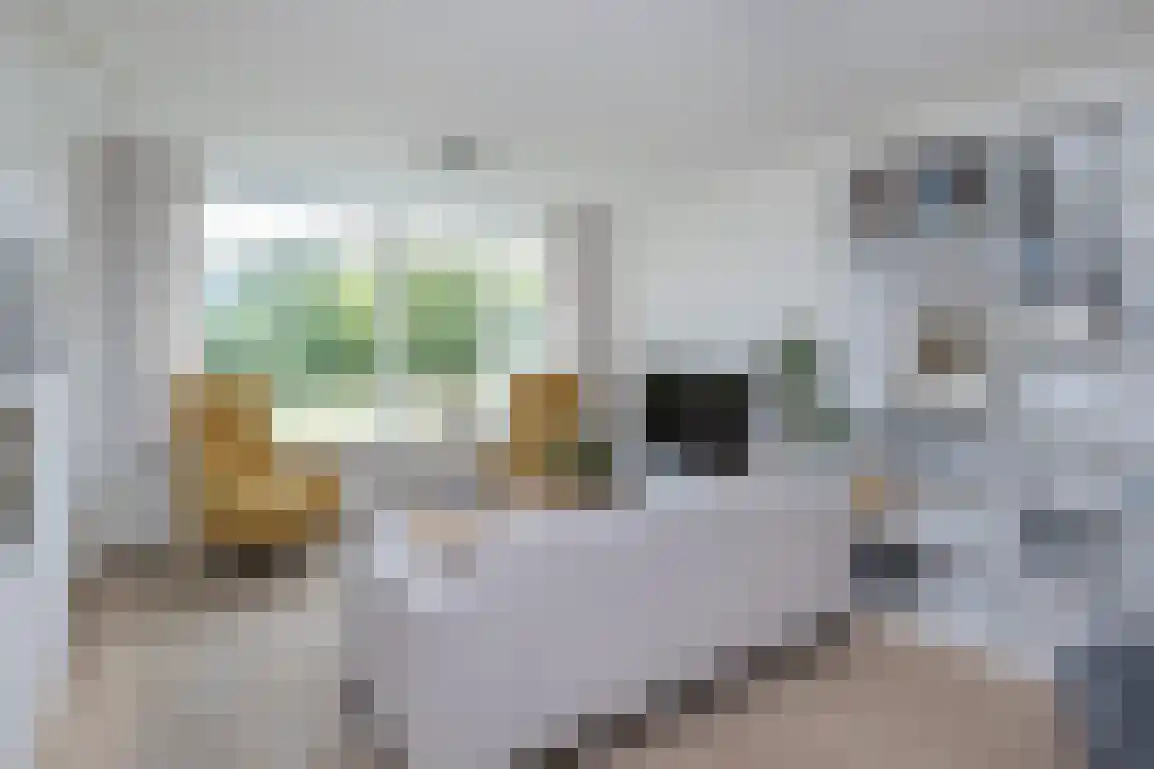 Staakweg 47 Dirksland thumbnail 9