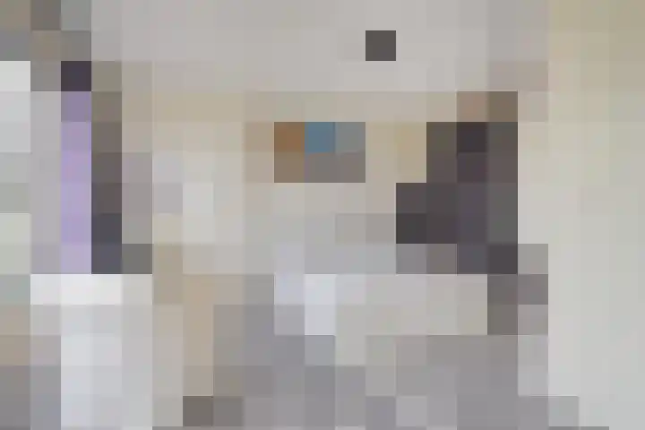 Staalblauw 101 Zoetermeer thumbnail 32