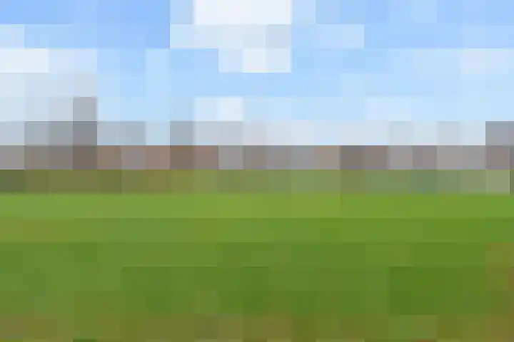 Staalblauw 101 Zoetermeer thumbnail 41