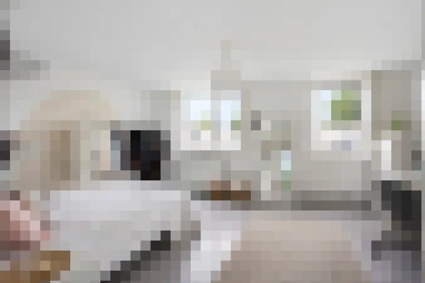 Staalblauw 97 Zoetermeer thumbnail 17