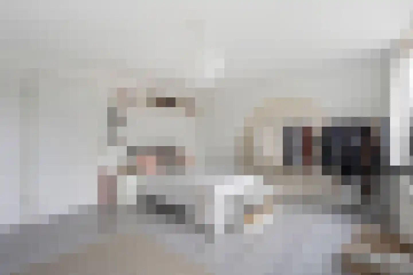 Staalblauw 97 Zoetermeer thumbnail 18