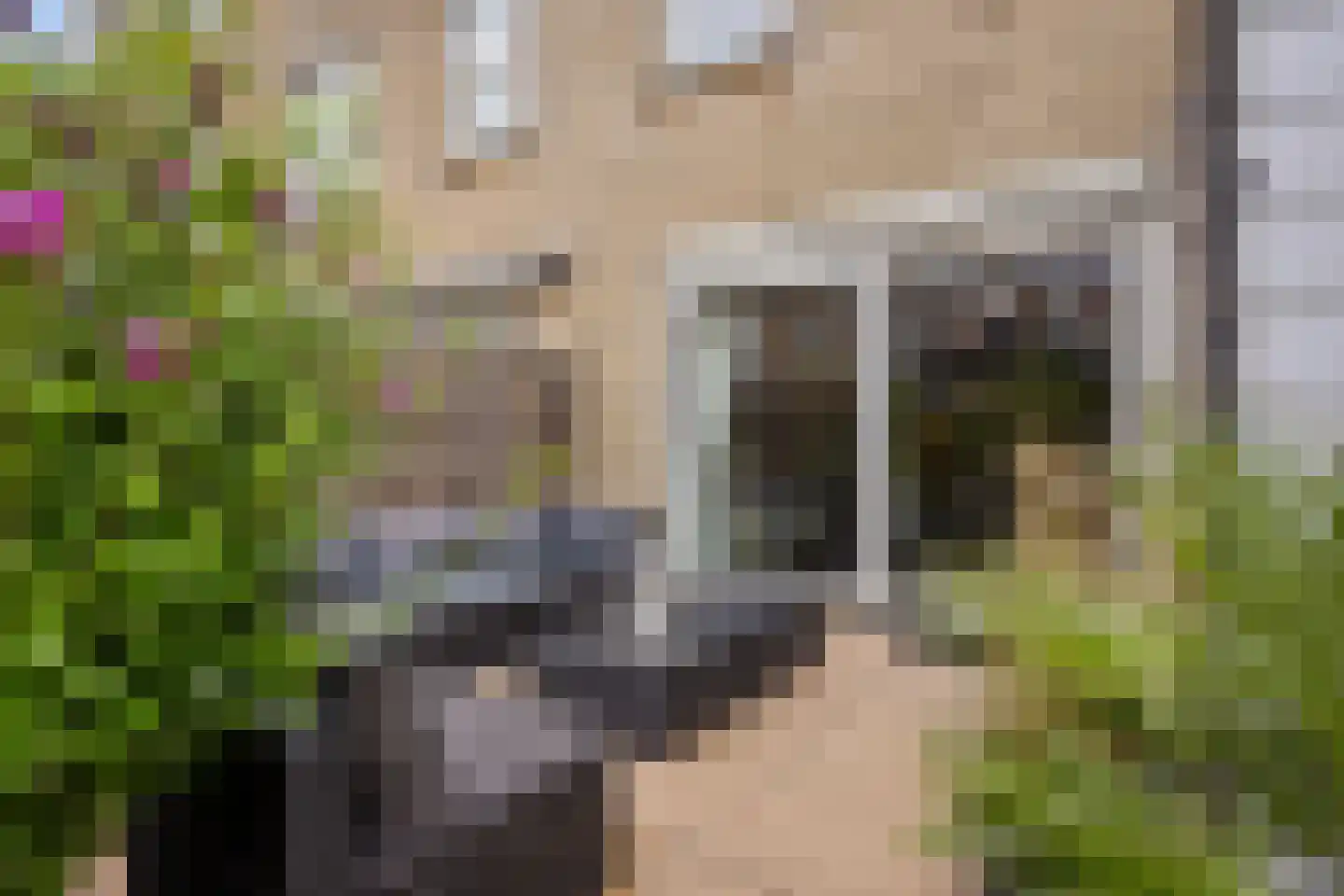 Staalblauw 97 Zoetermeer thumbnail 32