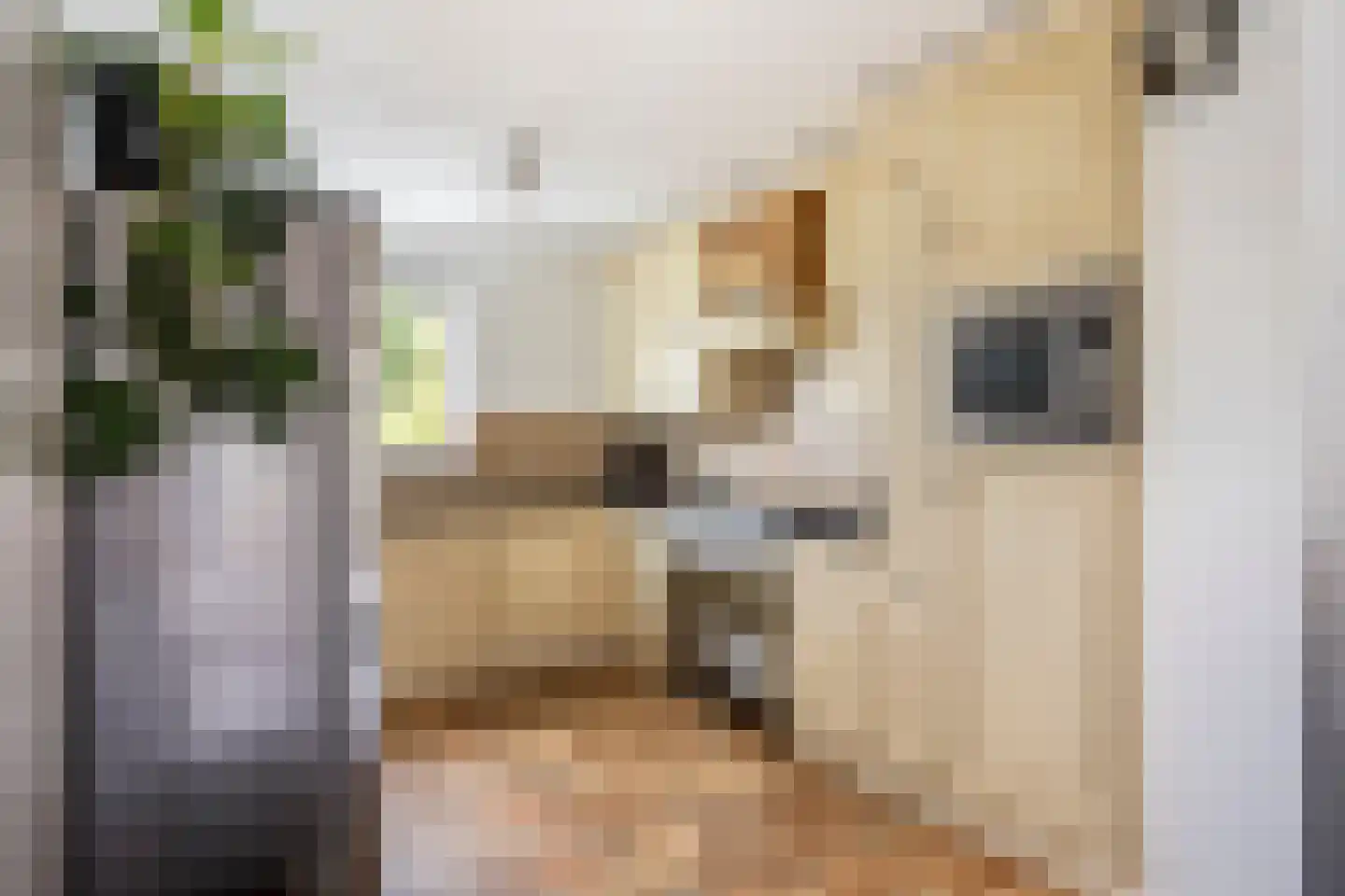 Staalblauw 97 Zoetermeer thumbnail 6