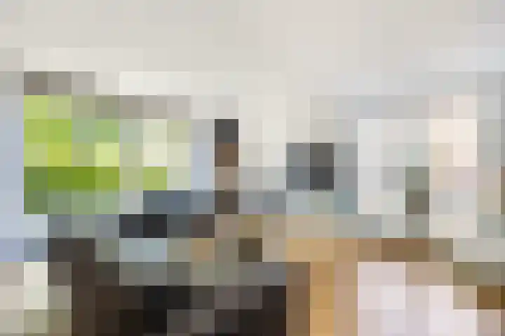 Staaldiep 4 Brielle thumbnail 10