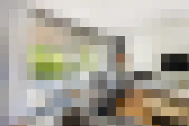 Staaldiep 4 Brielle thumbnail 11