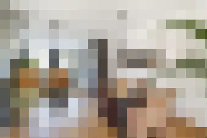 Staaldiep 4 Brielle thumbnail 15