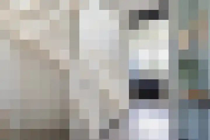 Staaldiep 4 Brielle thumbnail 22