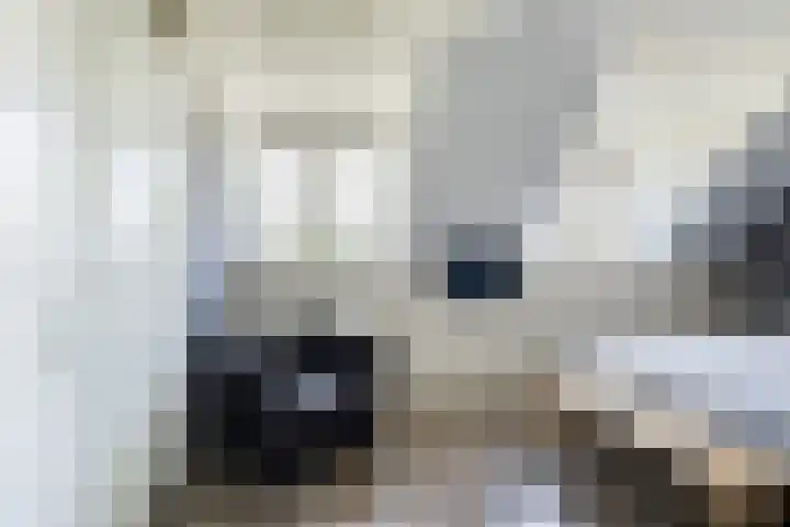 Staaldiep 4 Brielle thumbnail 23